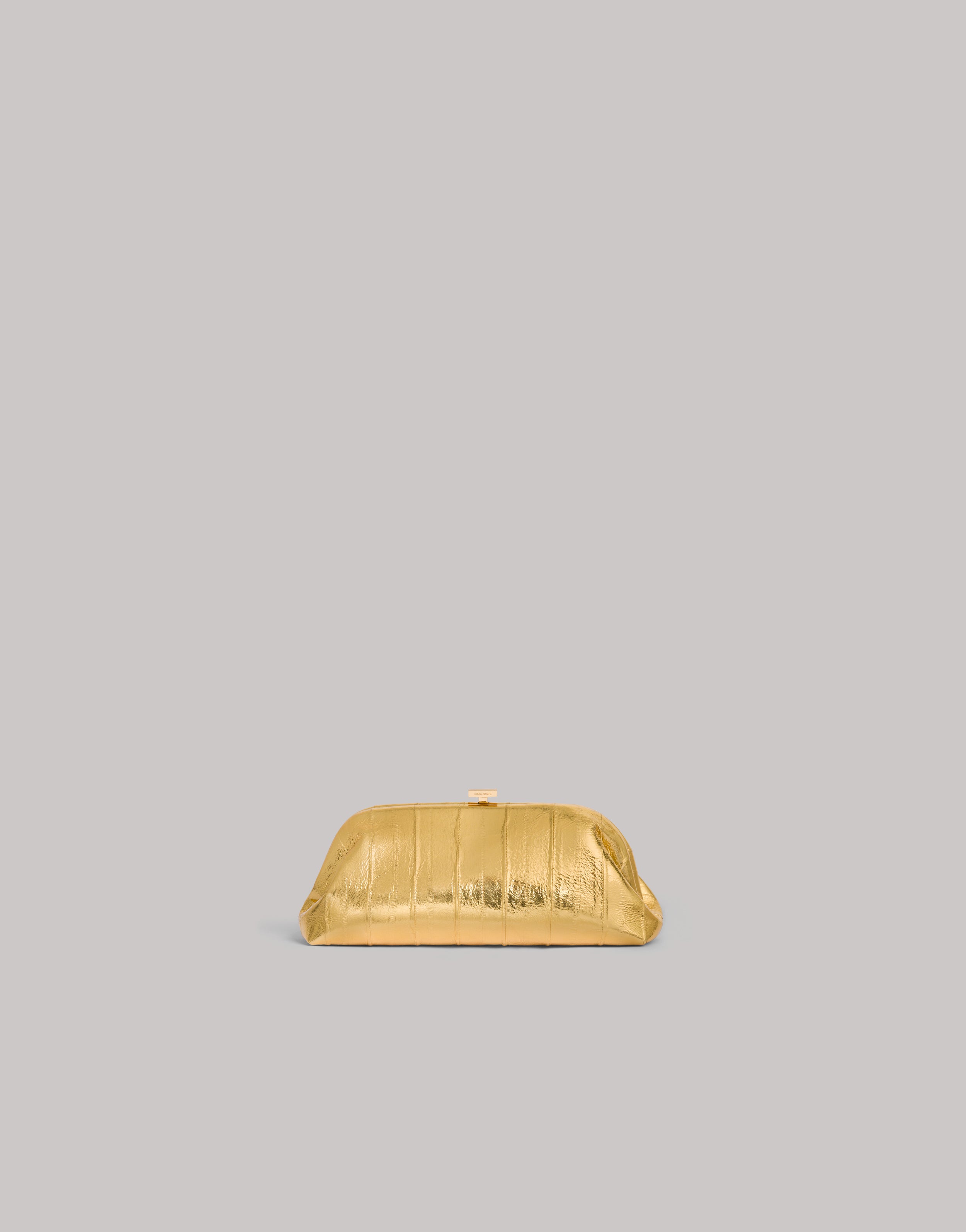 Mini pouch in eel leather | Alberta Ferretti