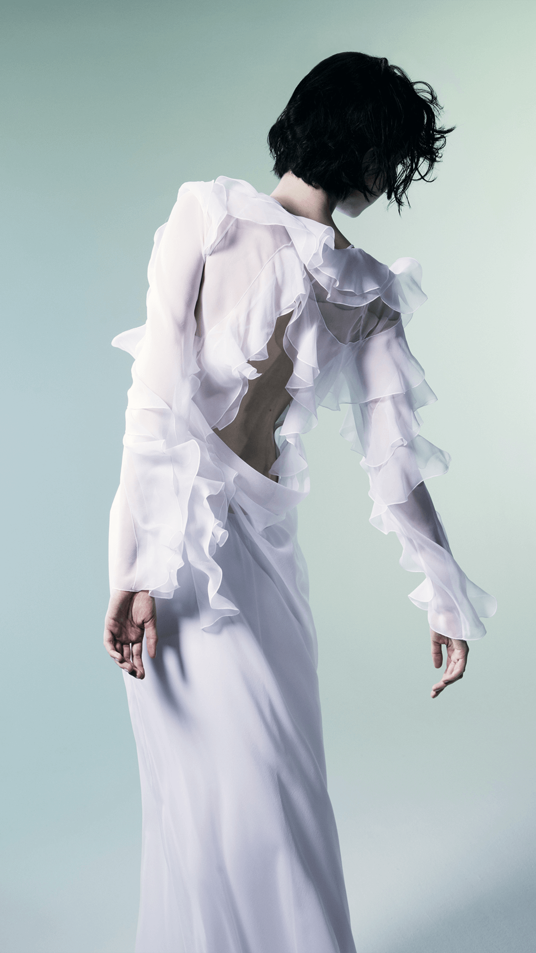 ワンピース アルベルタフェレッティ フィロソフィーアルベルタ