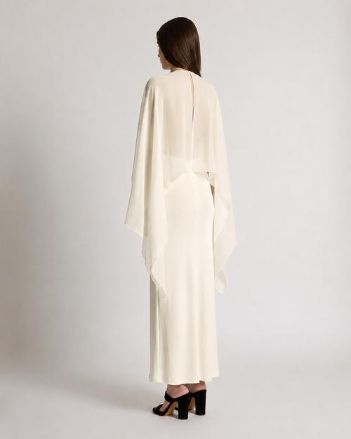 Long dress with sheer chiffon sleeves