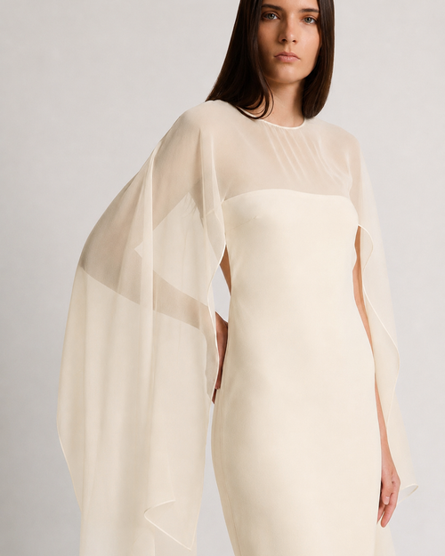 Long dress with sheer chiffon sleeves