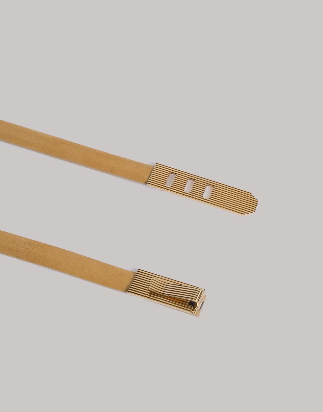 Suede belt with gold buckle 米色 Alberta Ferretti Boutique Online 2