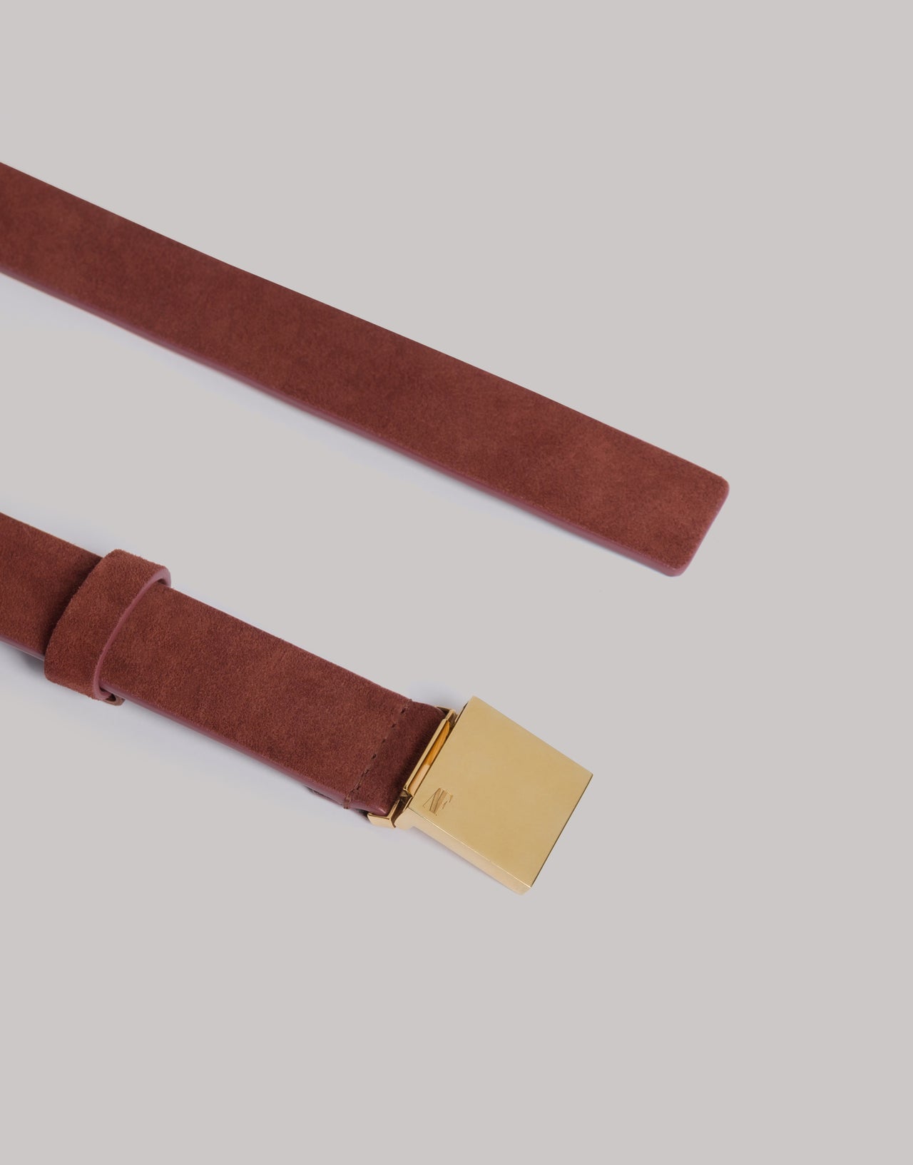 Suede belt with gold buckle ブラウン Alberta Ferretti Boutique Online 2
