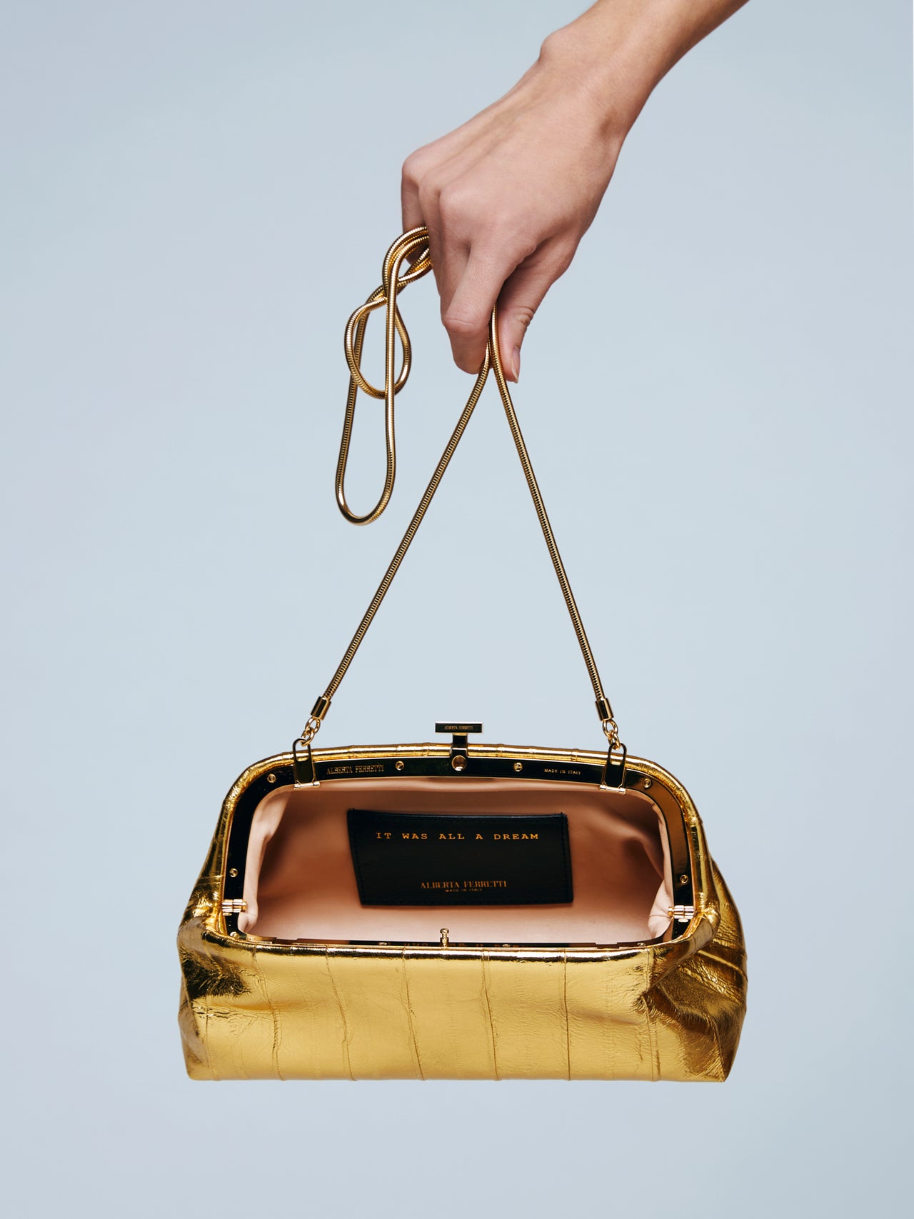 Mini pouch in eel leather Gold Alberta Ferretti Boutique Online 5