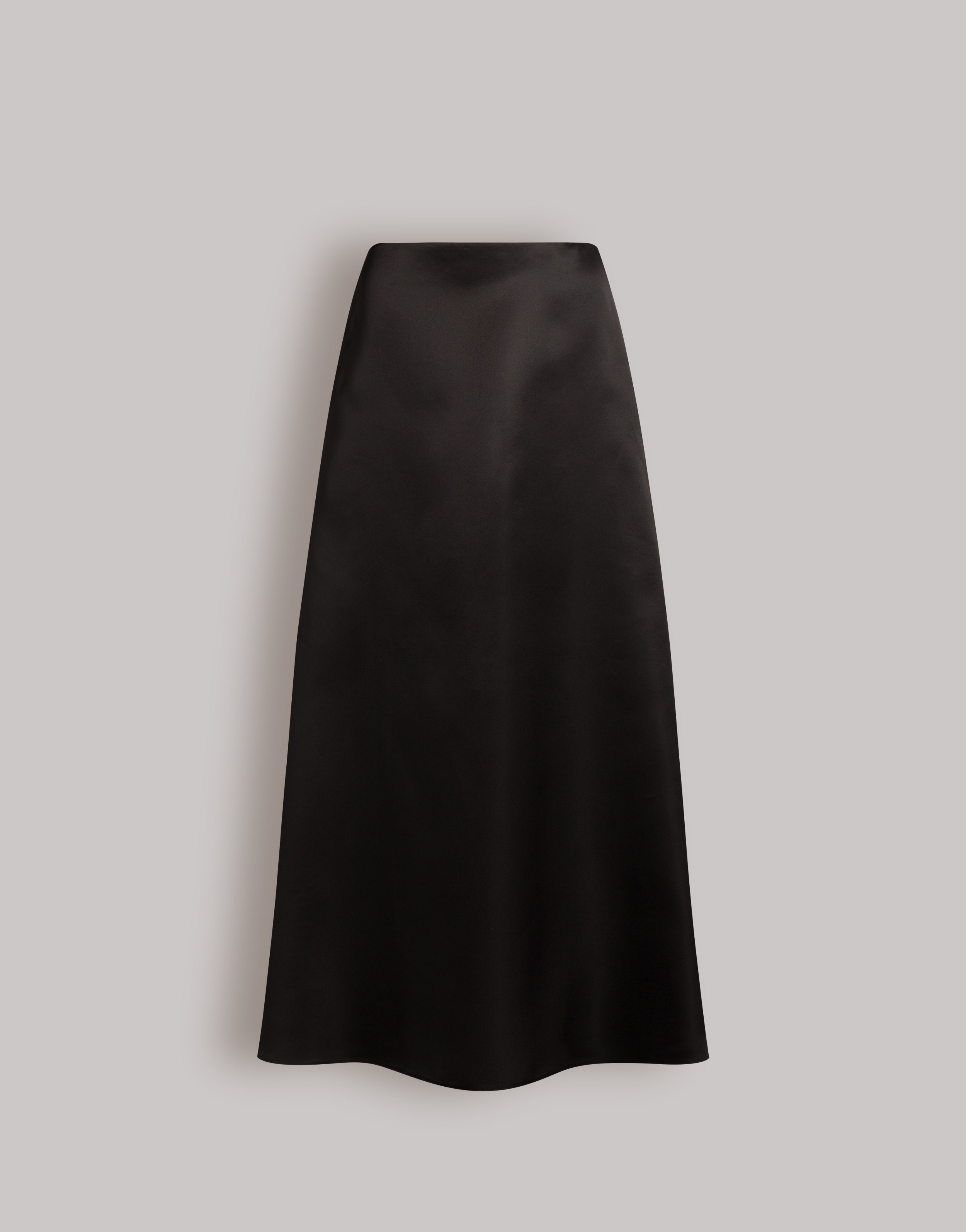 Long silk organza skirt | Alberta Ferretti