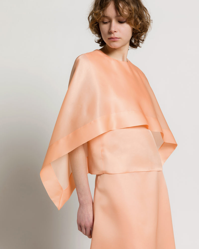Silk organza cape top 粉红色 Alberta Ferretti Boutique Online 0