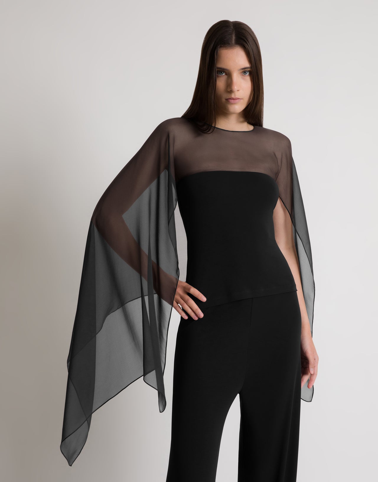Top with chiffon sleeves Black Alberta Ferretti Boutique Online 4