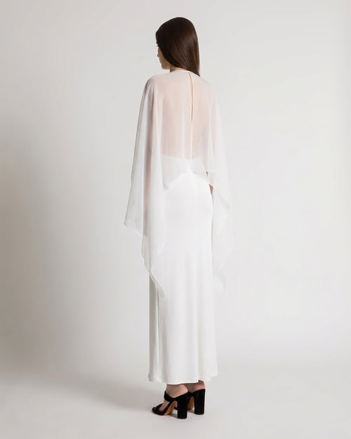 Long dress with sheer chiffon sleeves