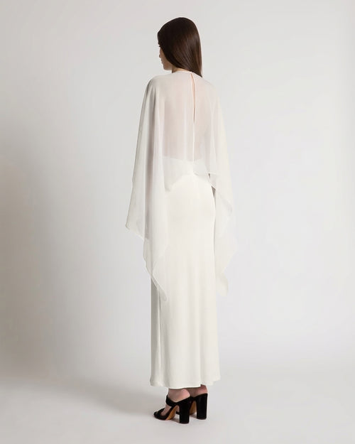 Long dress with sheer chiffon sleeves