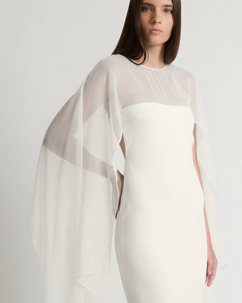 Long dress with sheer chiffon sleeves