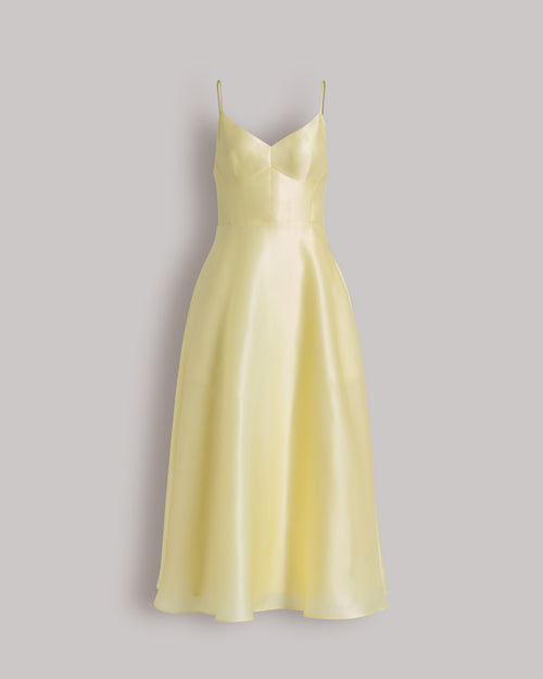 Silk organza dress 黄色 Alberta Ferretti Boutique Online 0