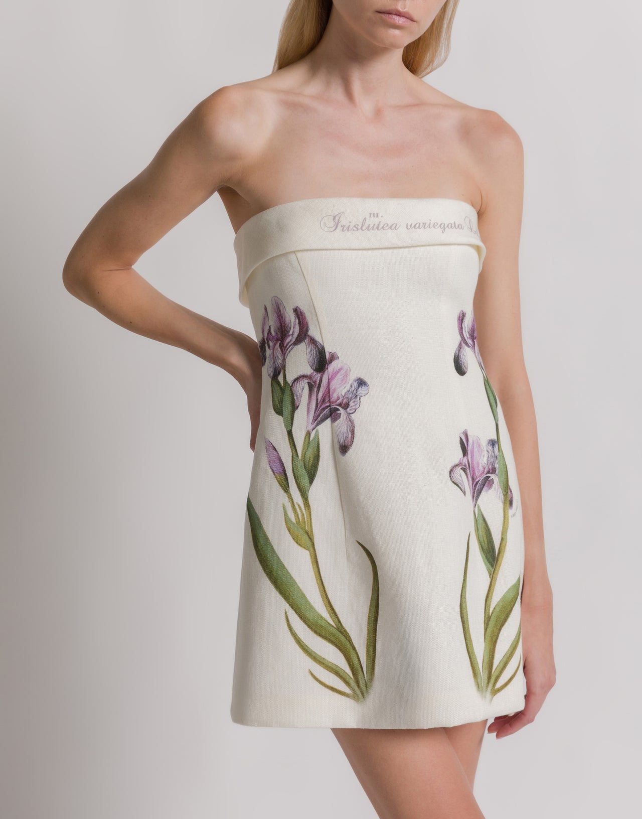 Iris print linen bustier dress Ivory Alberta Ferretti Boutique Online 4