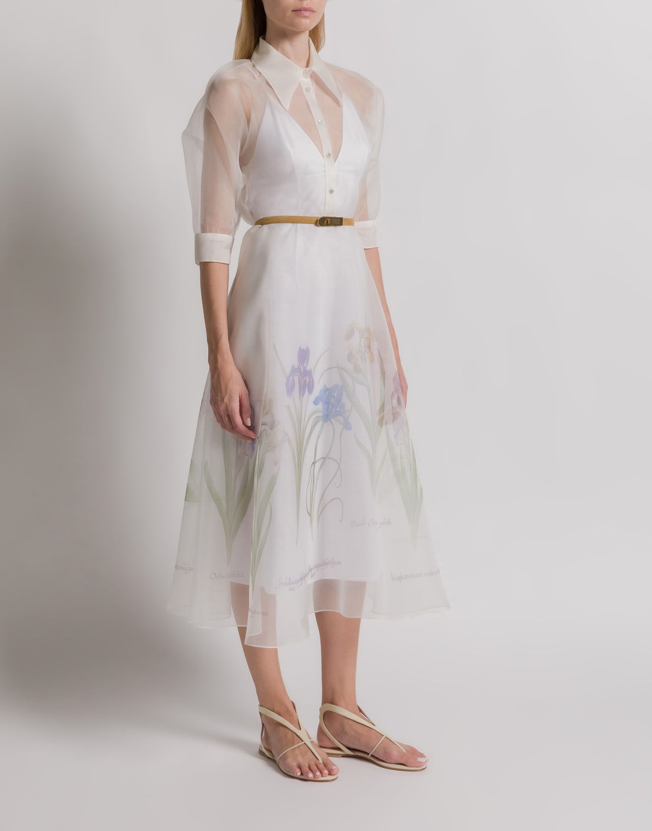 Abito camicia in organza di seta con stampa Iris Bianco Alberta Ferretti Boutique Online 2