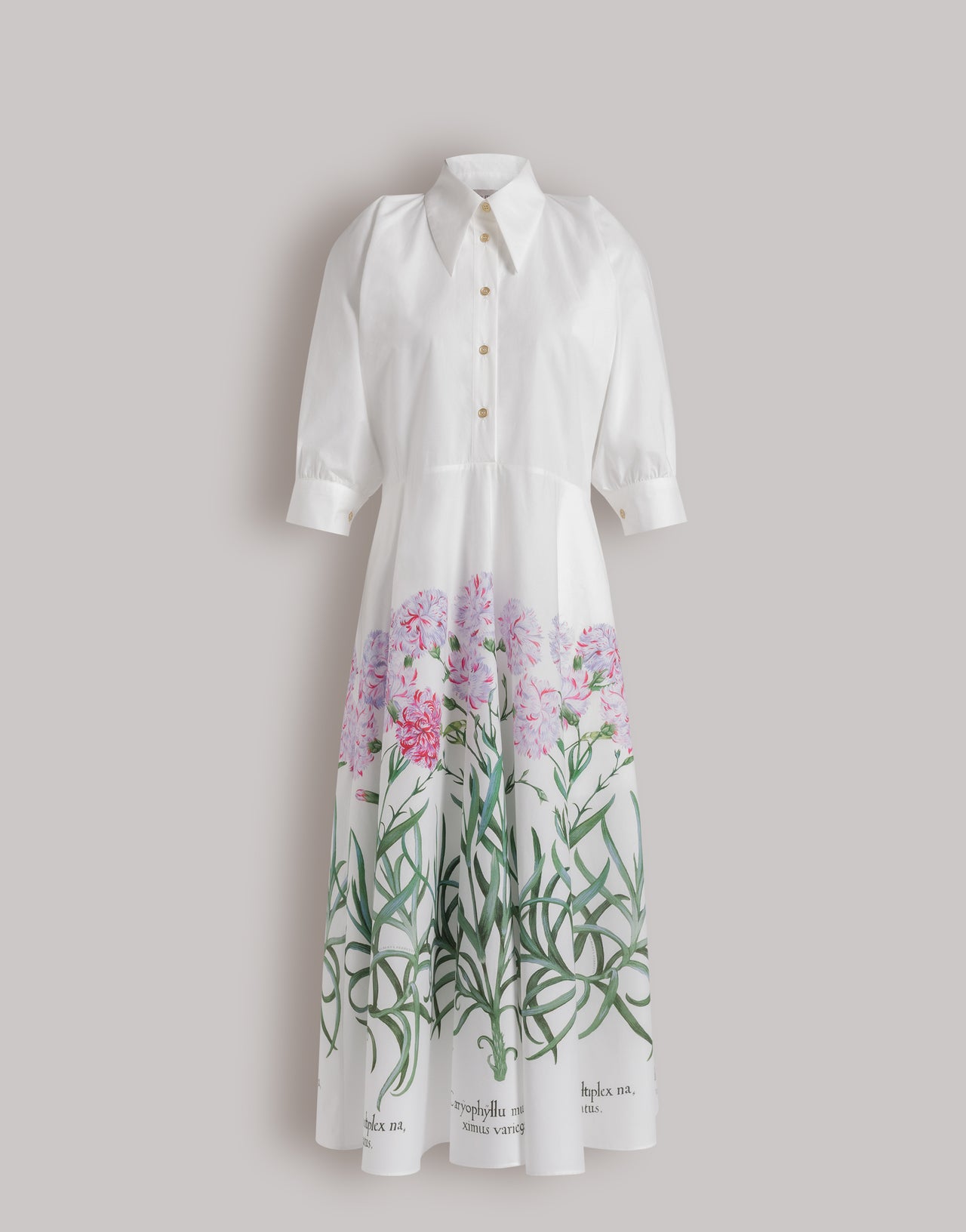 Cotton shirt dress with Herbarium print
