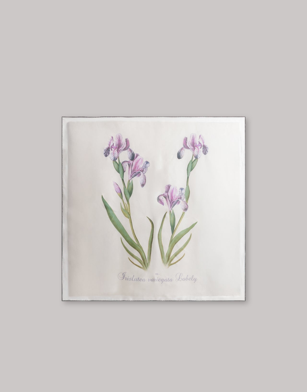 Silk scarf with thistle print 象牙 Alberta Ferretti Boutique Online 2