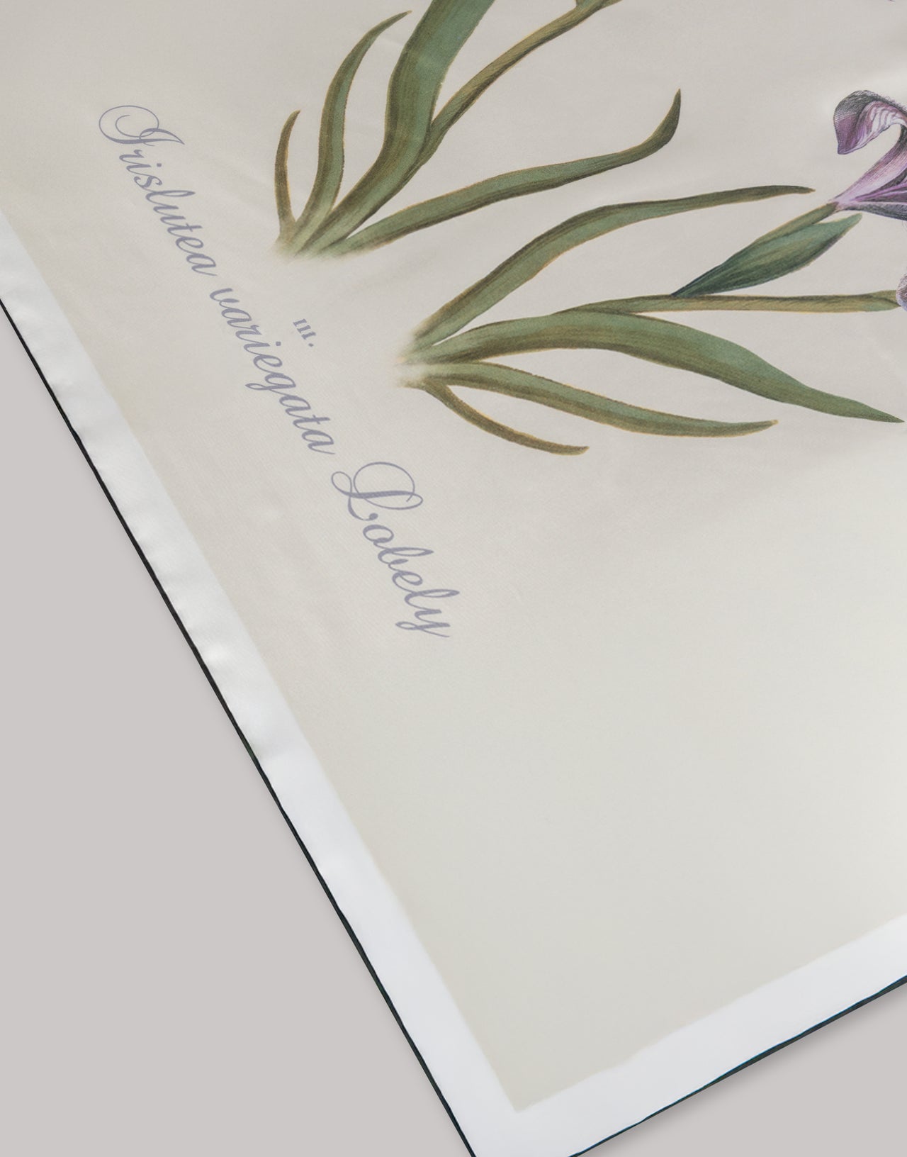 Silk scarf with thistle print 象牙 Alberta Ferretti Boutique Online 4