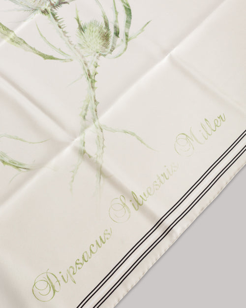 Silk scarf with thistle print