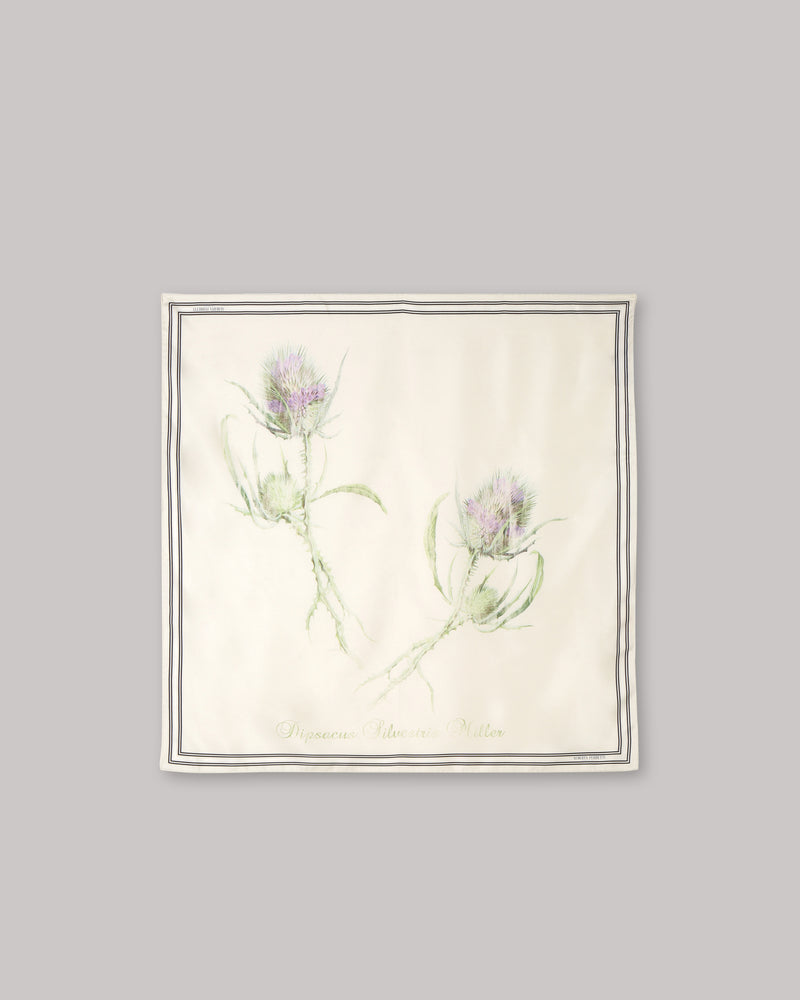 Silk scarf with thistle print Ivory Alberta Ferretti Boutique Online 0