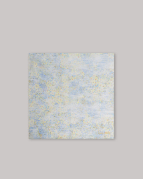 Chiffon scarf with petal print Light blue Alberta Ferretti Boutique Online 0