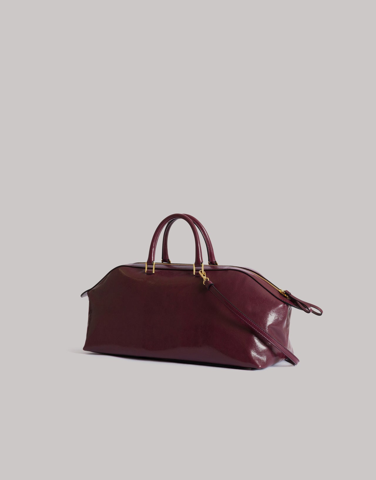 Everyday Ledertasche Bordeaux Alberta Ferretti Boutique Online 3