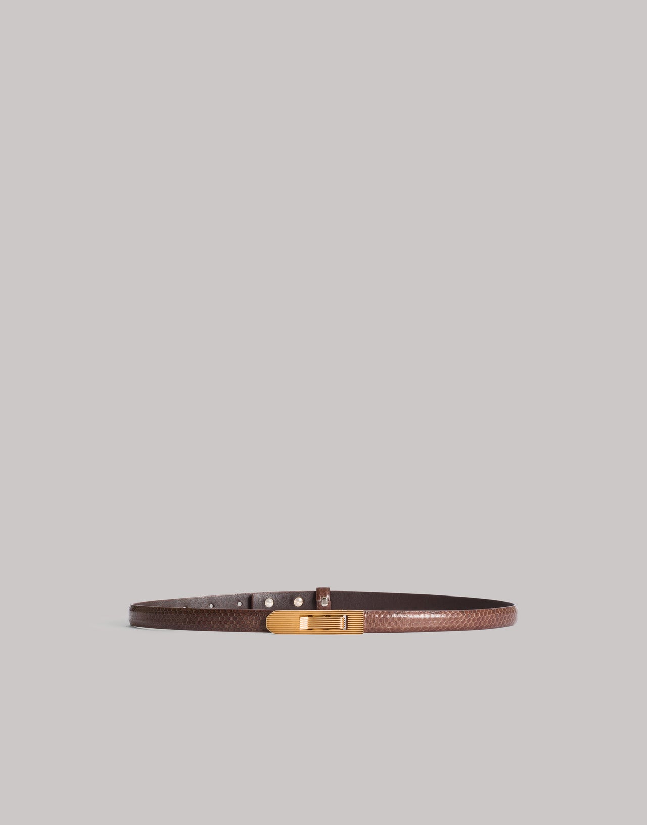 Cinturón Minimalista de Piel de Serpiente Marrón Alberta Ferretti Boutique Online 1