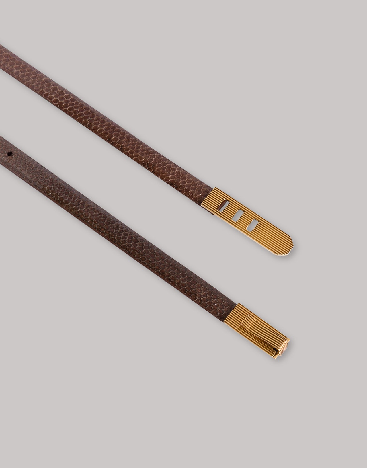 Cinturón Minimalista de Piel de Serpiente Marrón Alberta Ferretti Boutique Online 2