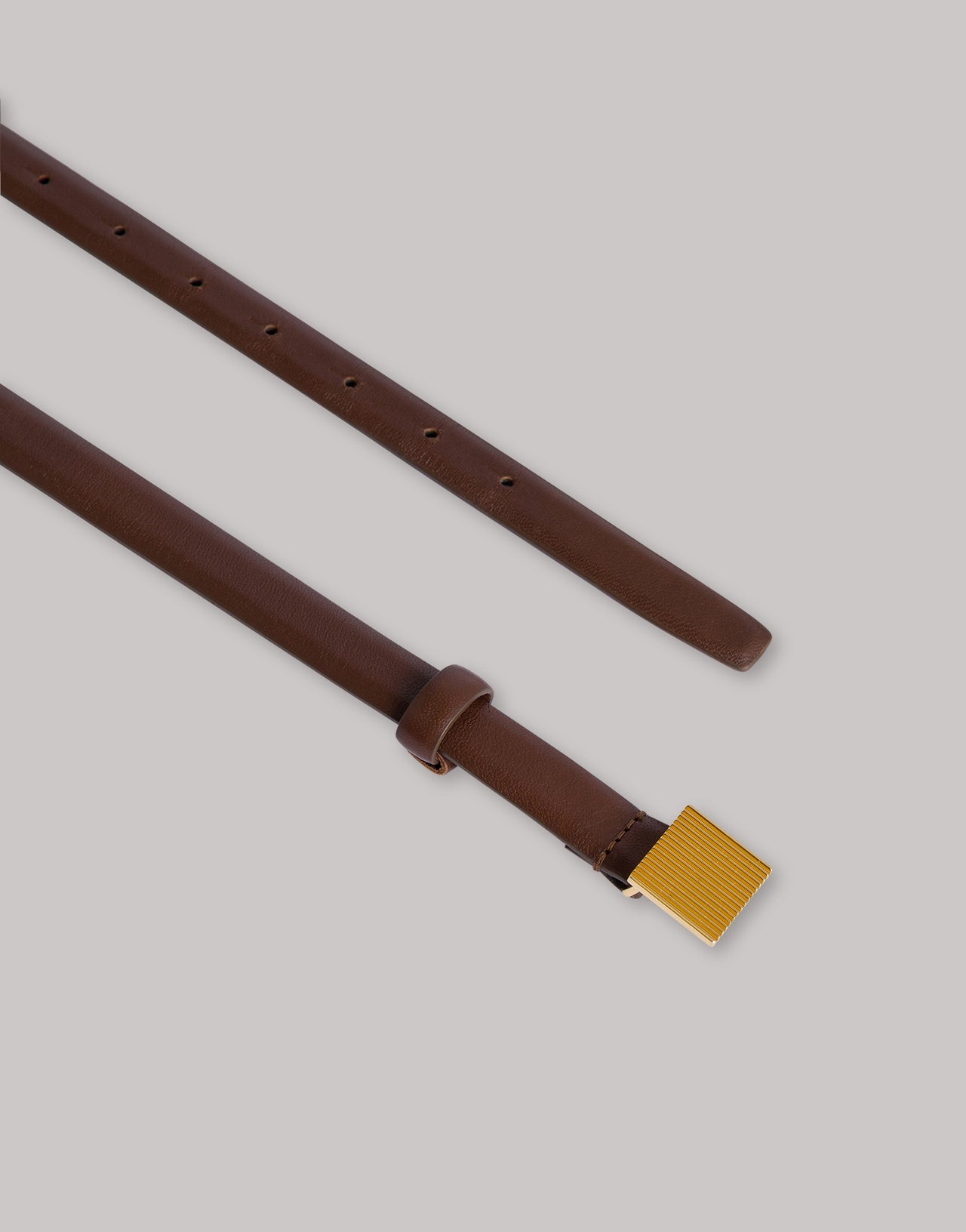 Ceinture fine en nappa plongé à boucle dorée Marron Alberta Ferretti Boutique Online 2