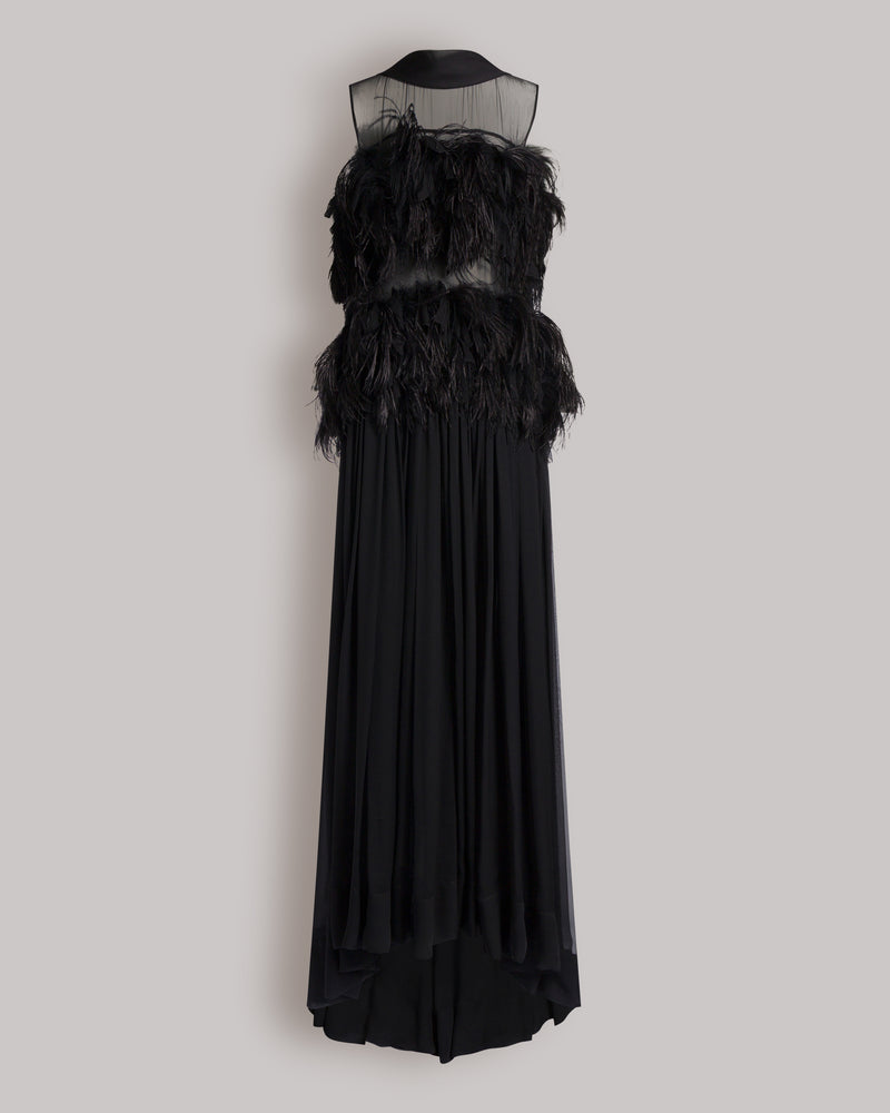 Langes Abendkleid aus Seidenchiffon mit Federn Schwarz Alberta Ferretti Boutique Online 0