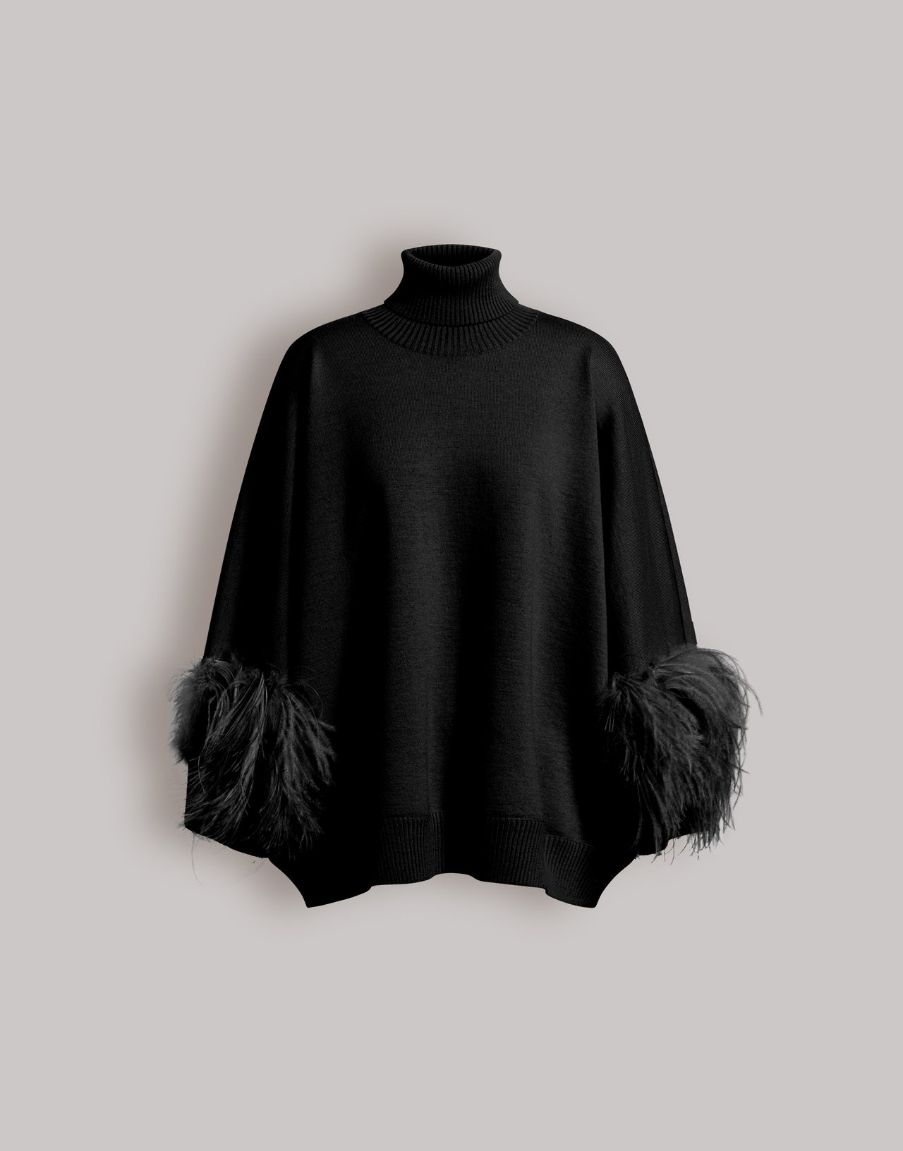 Pull en laine mérinos extrafine avec plumes Noir Alberta Ferretti Boutique Online 1