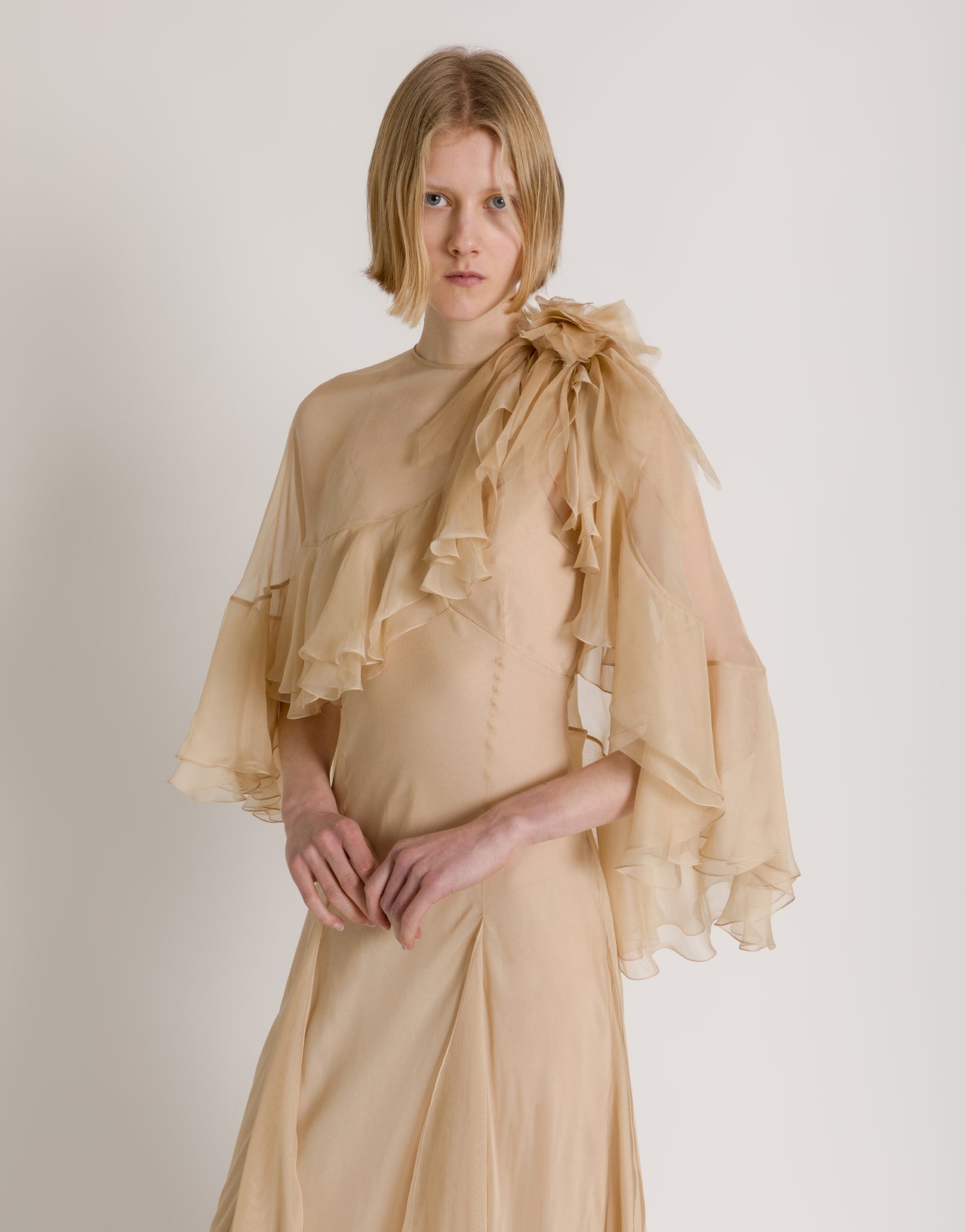 Silk chiffon gown Beige Alberta Ferretti Boutique Online 3