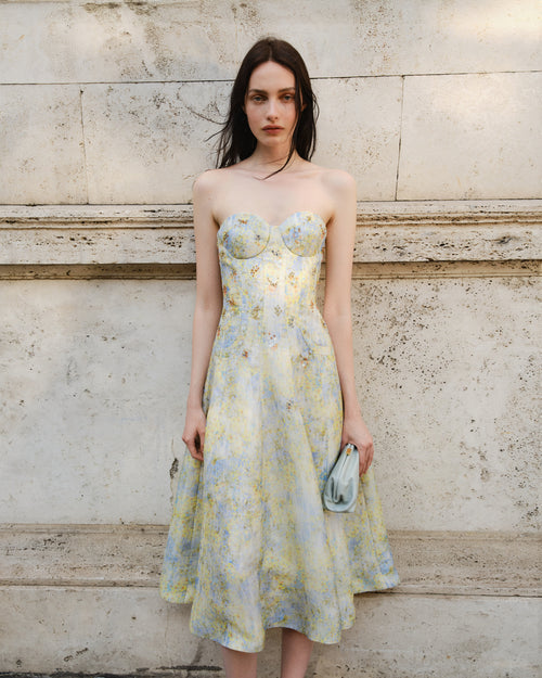 Women's Occasion Dresses | Alberta Ferretti Women's Occasion Dresses | Alberta Ferretti